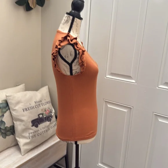 EUC Bundle of 2 J. Crew Ruffle sleeveless top in brown and pink both in small! - Picture 5 of 10